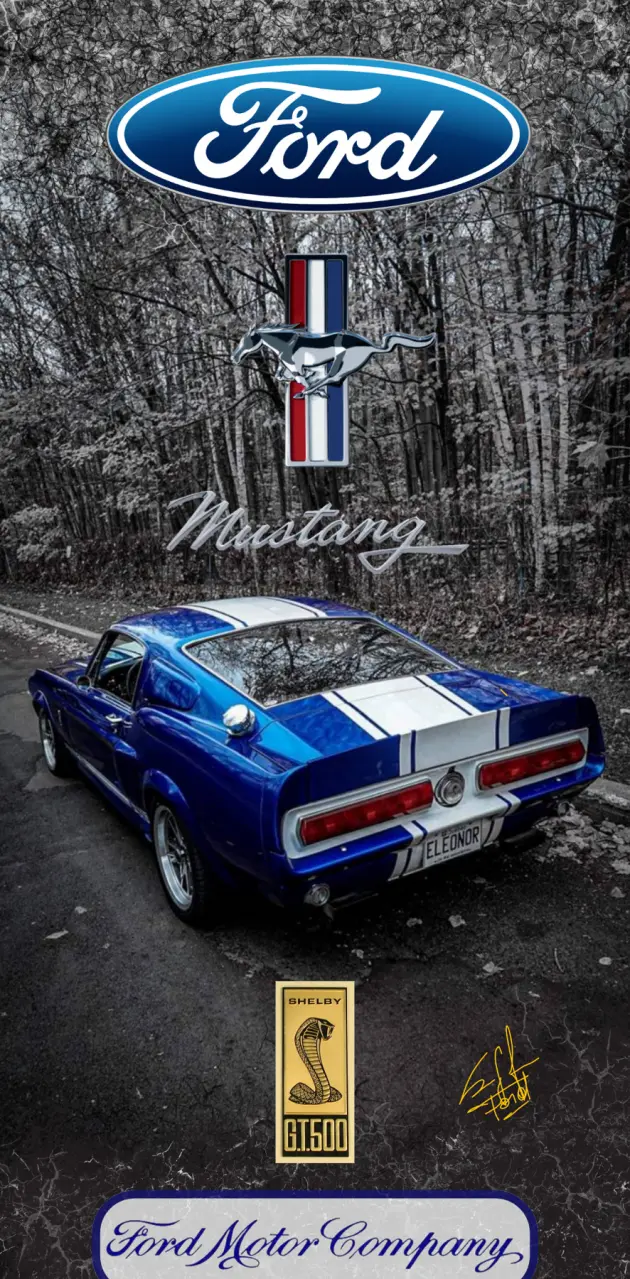 Ford Mustang gt500