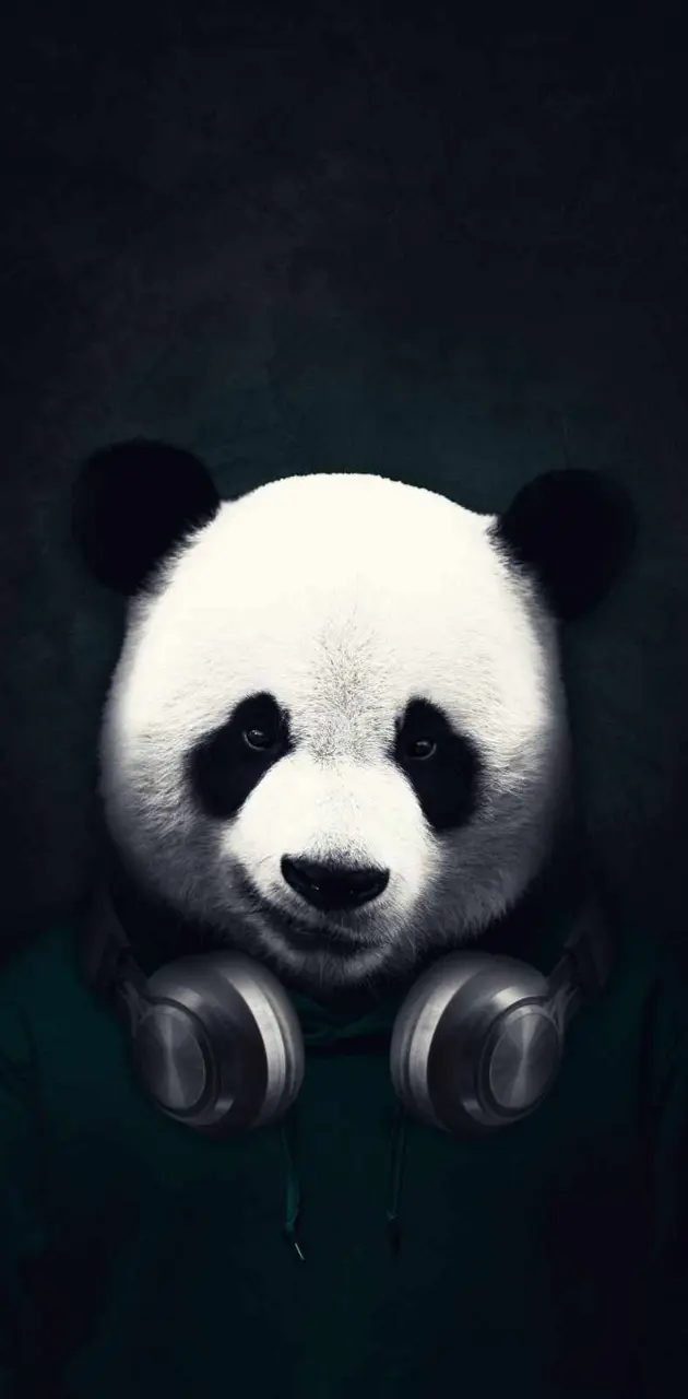 Panda wallpaper by High_Times - Download on ZEDGE™