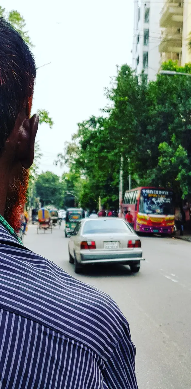 View from a rickshaw