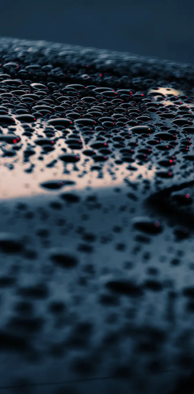 Water drops reflects