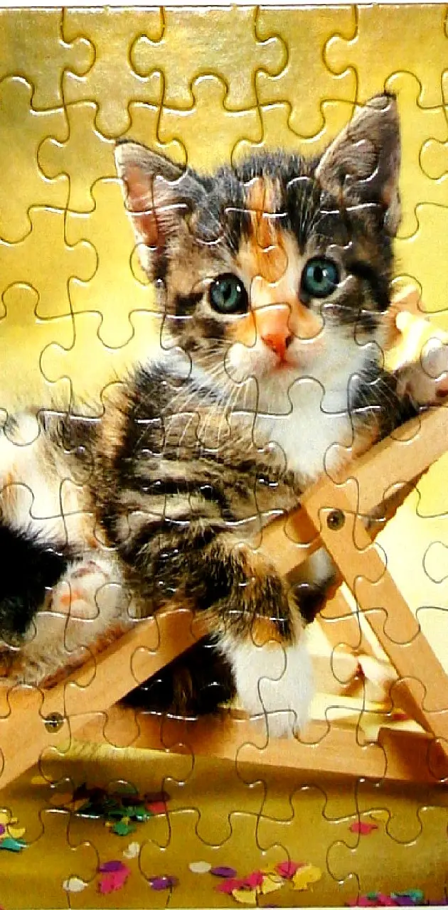 cat-puzzle