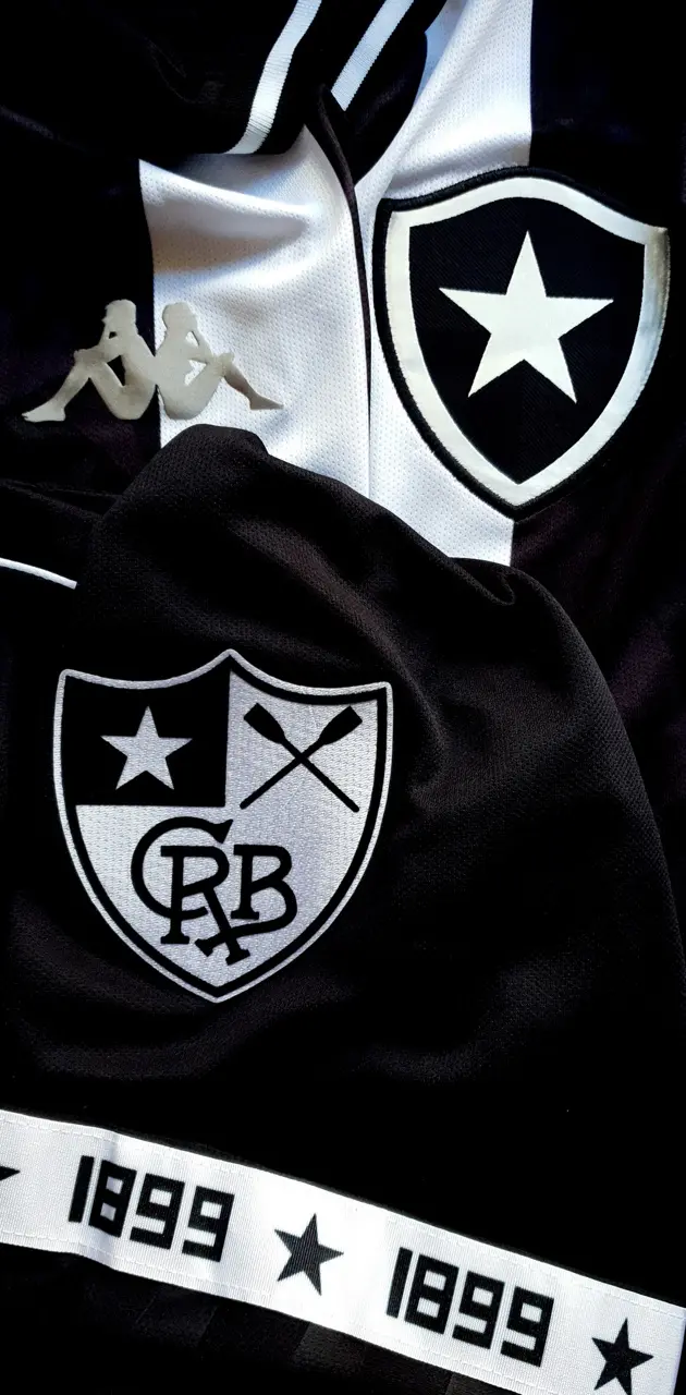 Botafogo 2019 3