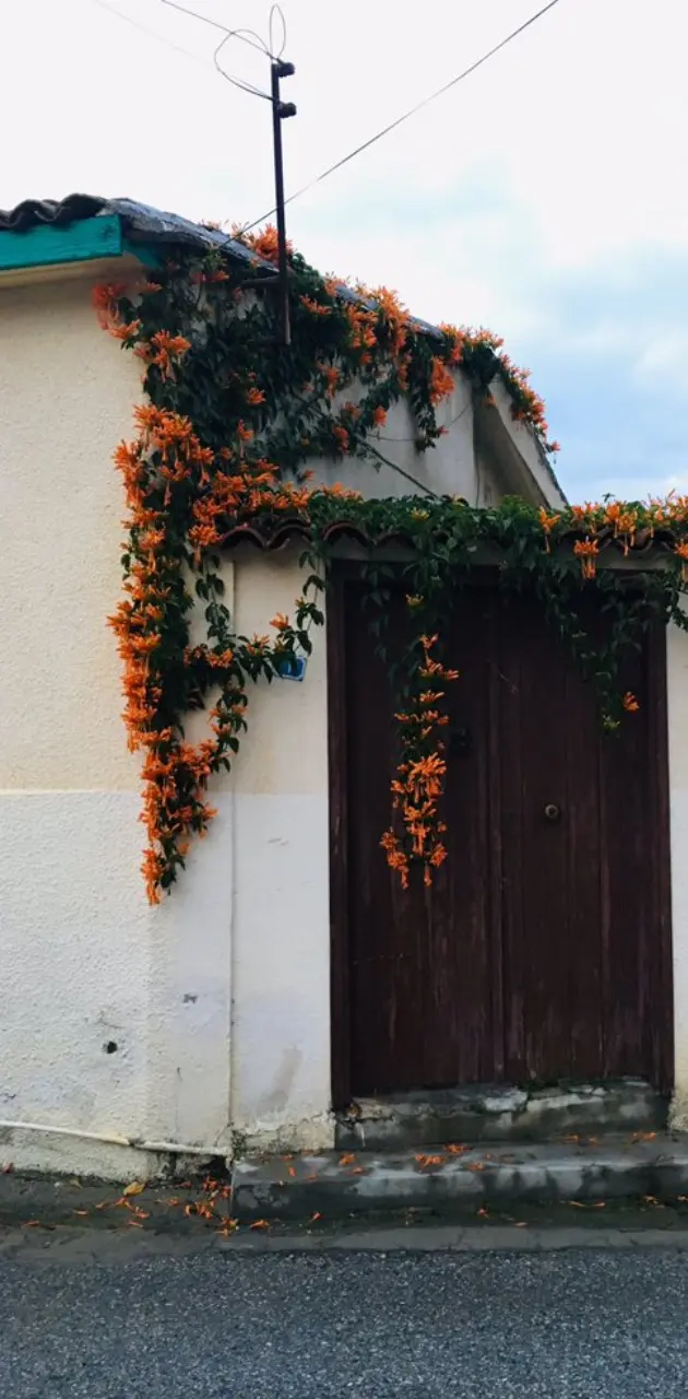 Flowers and door