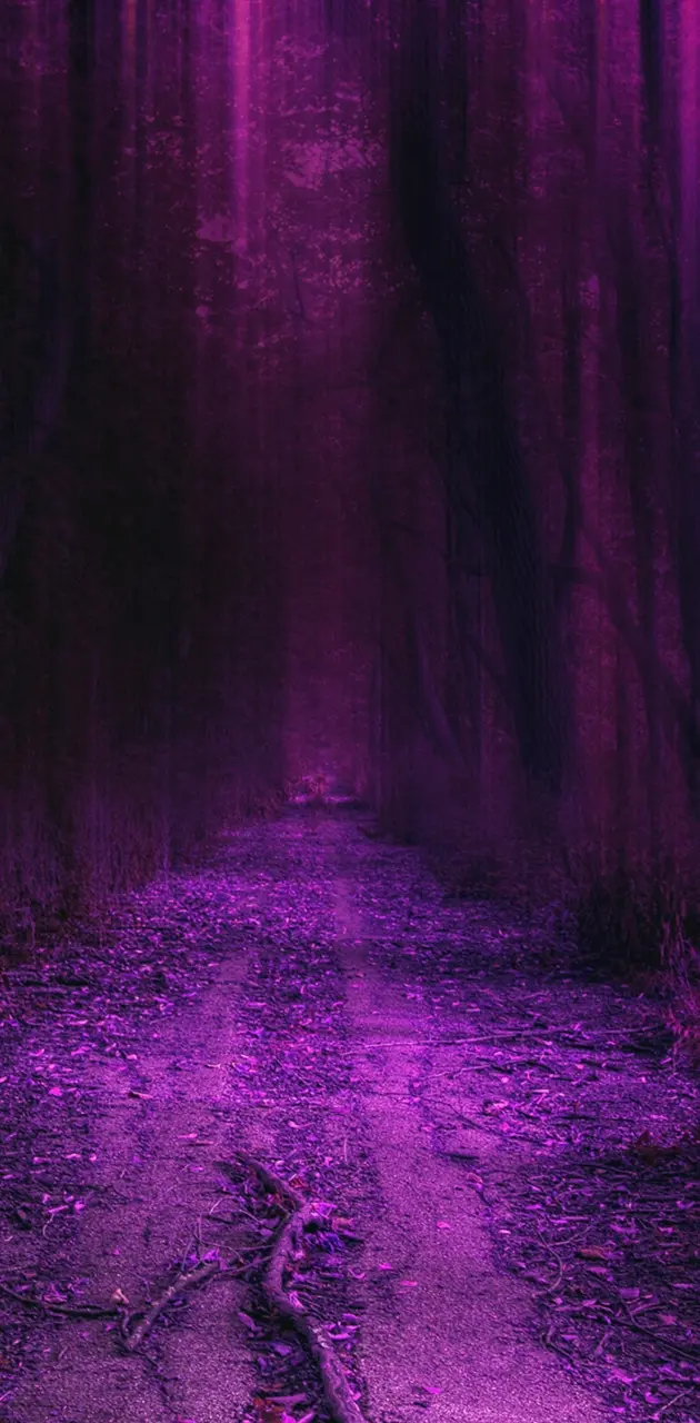 purple hd forest