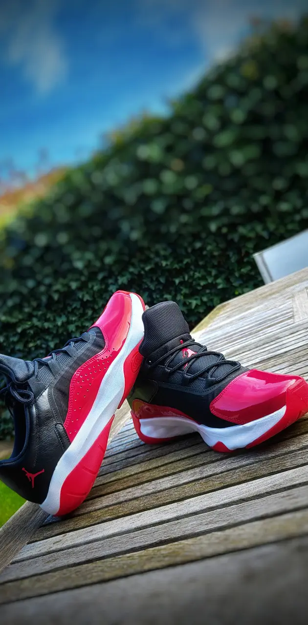 Michael Jordan 11 shoe