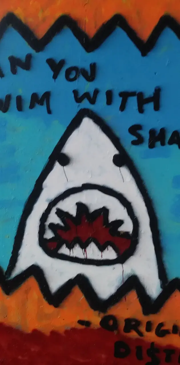  Swim with a Shark