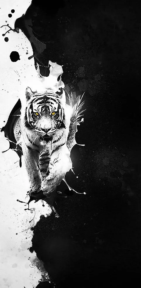 Black an white tiger