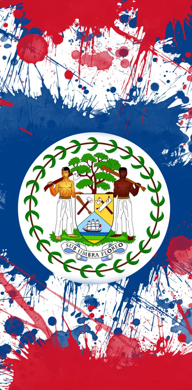Belize Flag 
