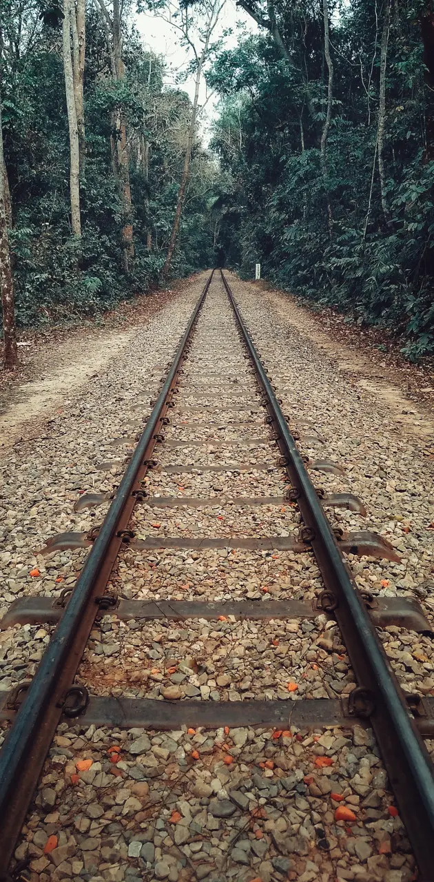 Rail Road