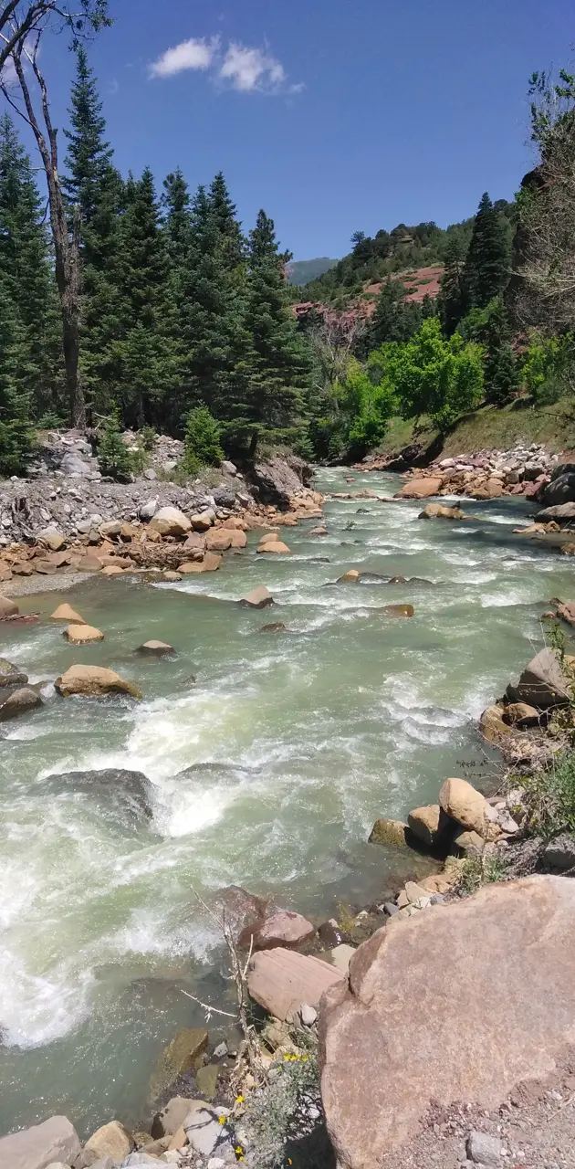 Ouray river