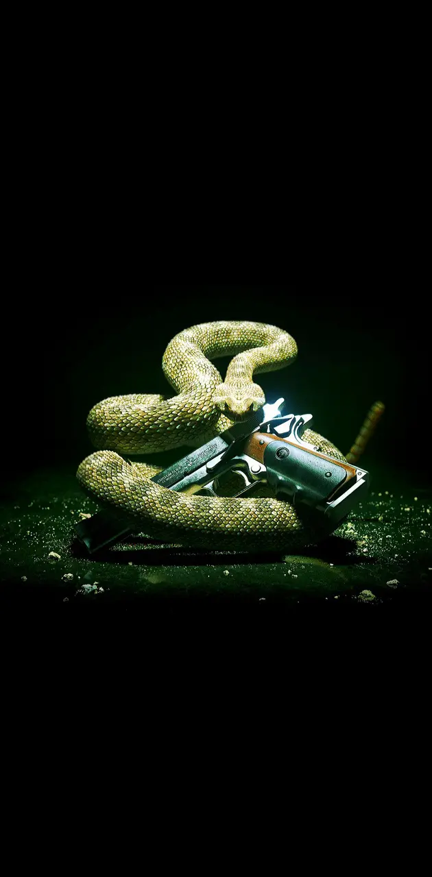 Snake with gun