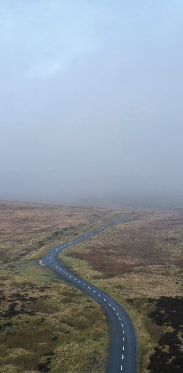 Countryside fog 