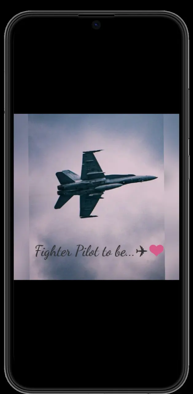 Fighter pilot