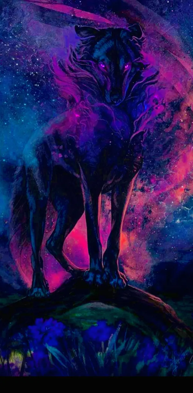  Wolf in the night 