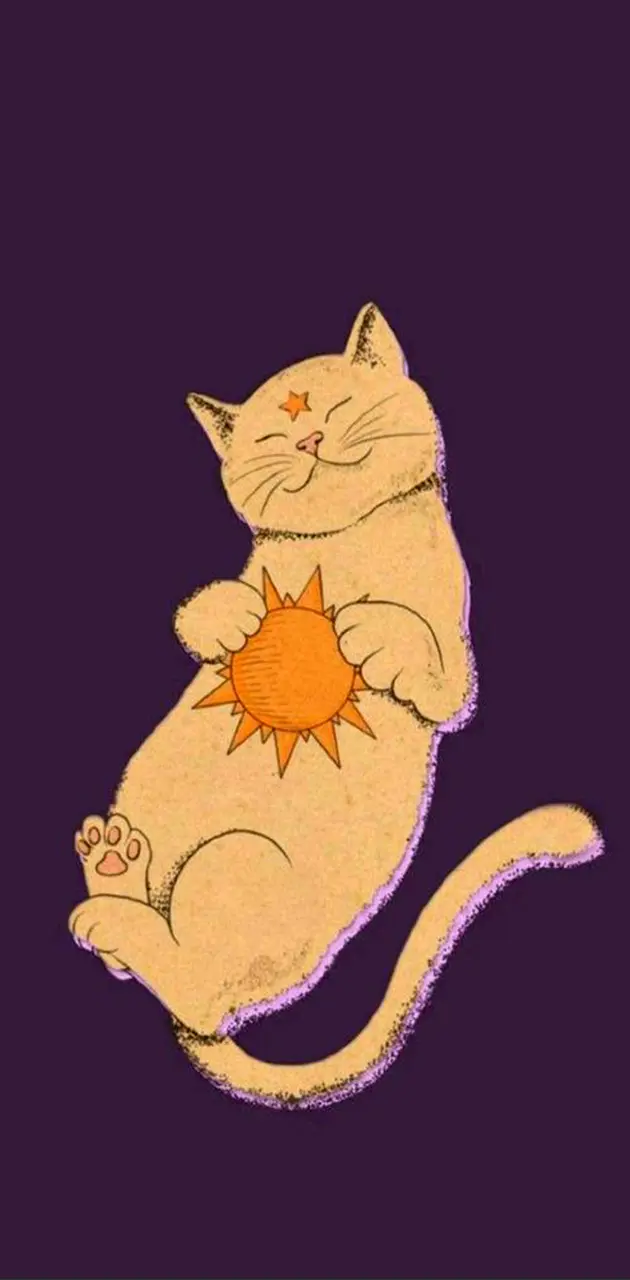 sun cat