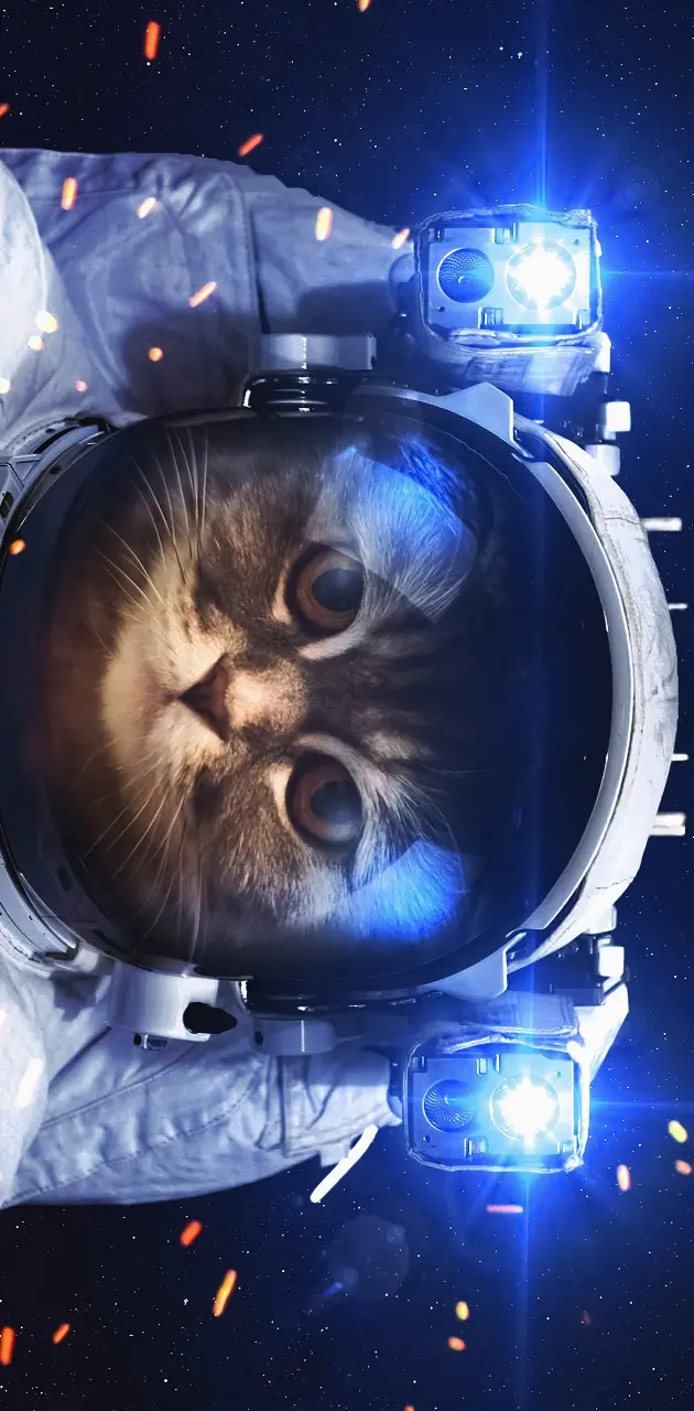 Super Space Cat