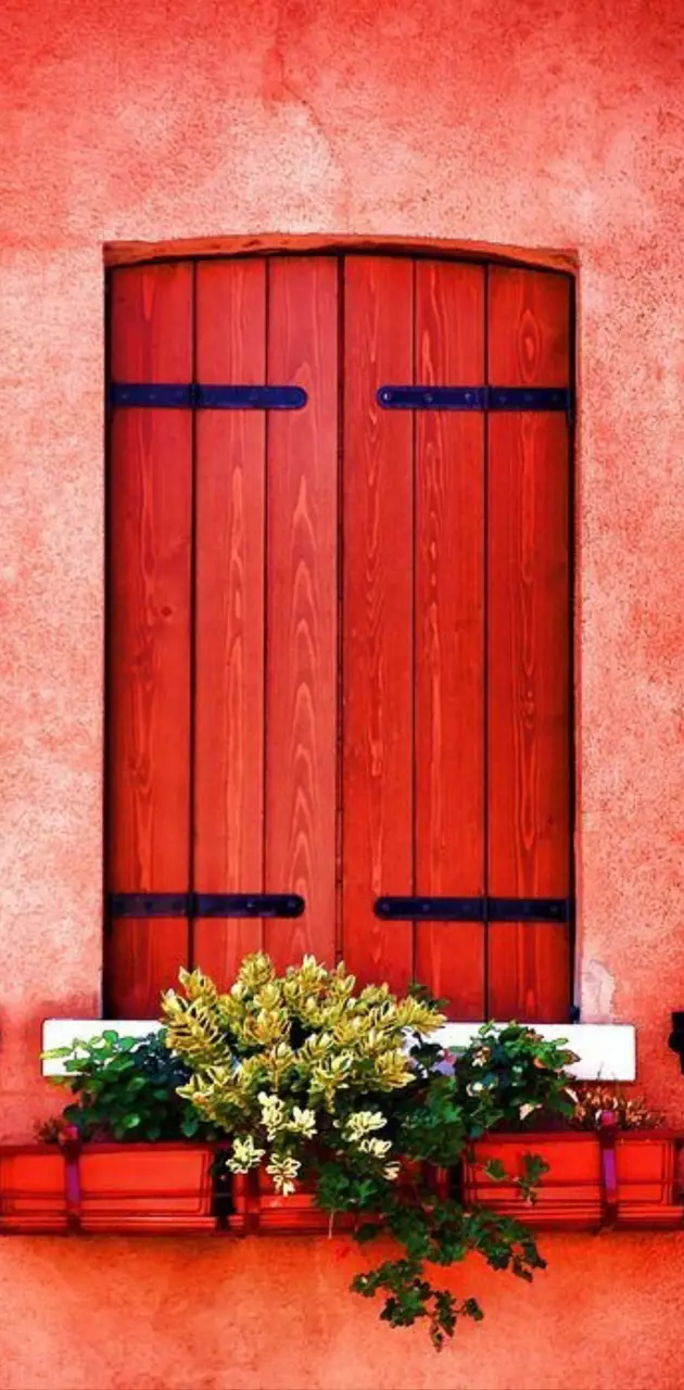 Red window
