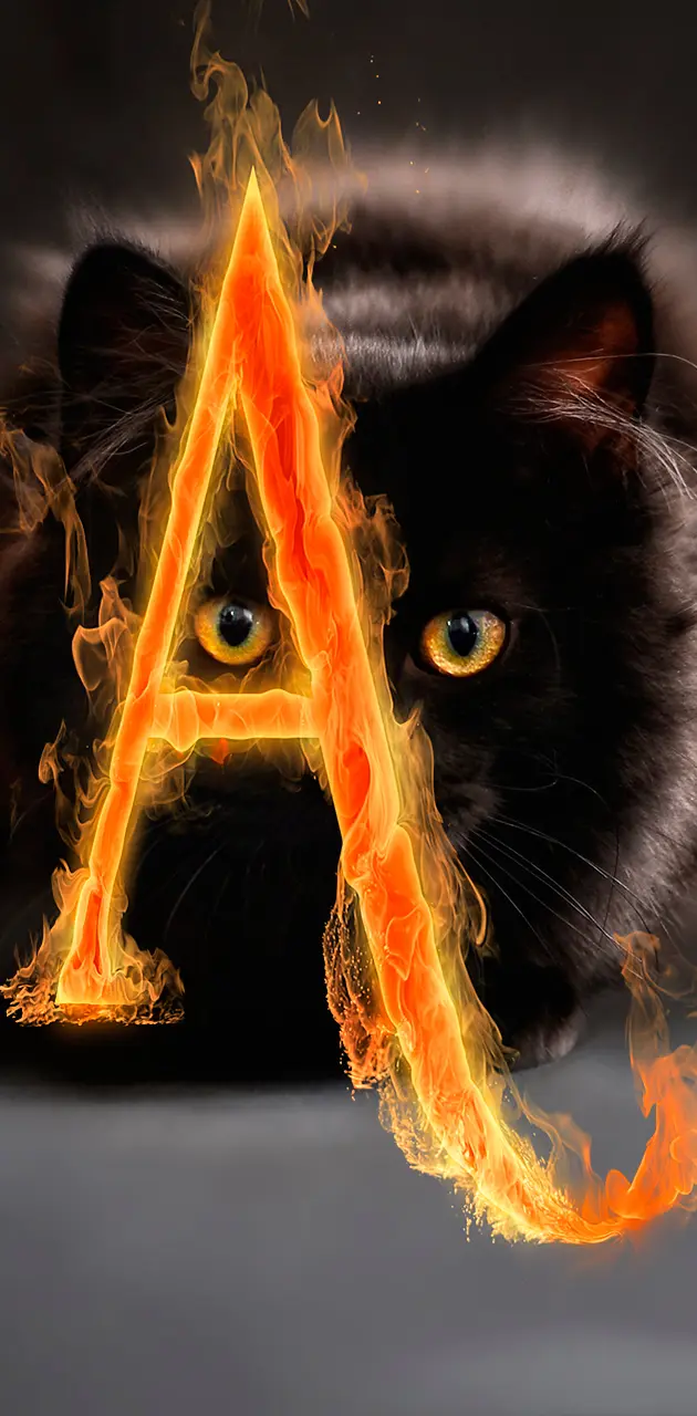 letter A and cat