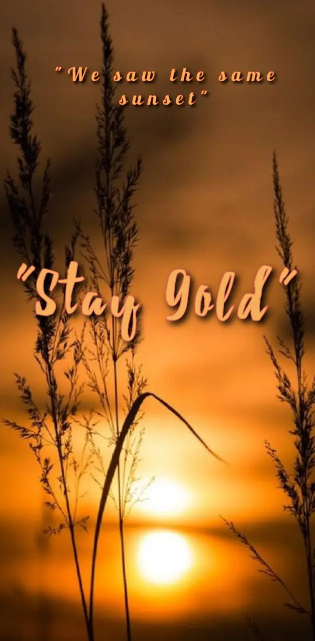 Stay Gold 