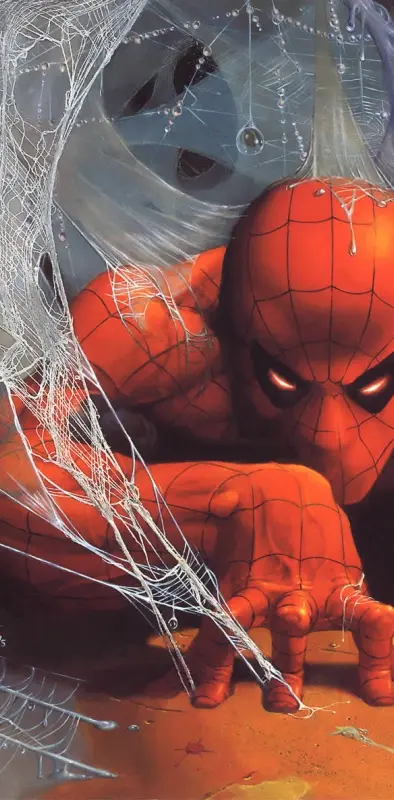 Spiderman Webs