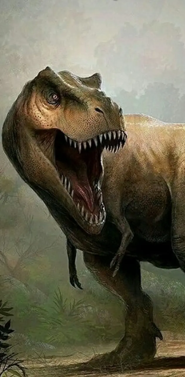 Rexy