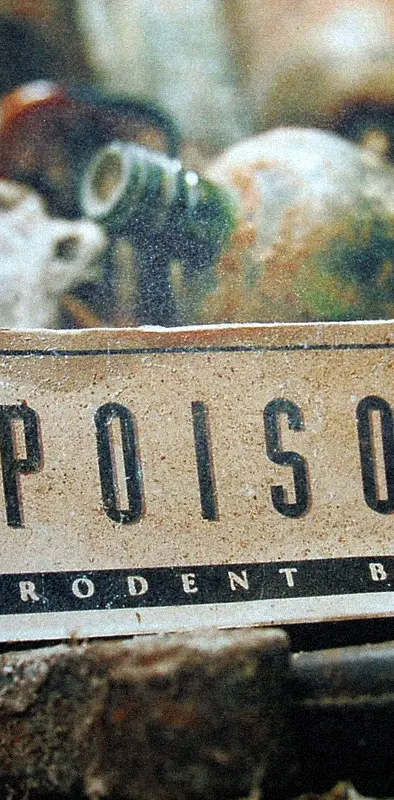 The Prodigy Poison