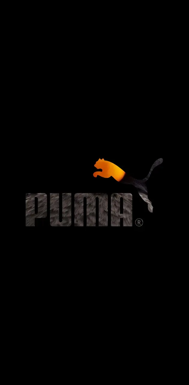 Puma furry