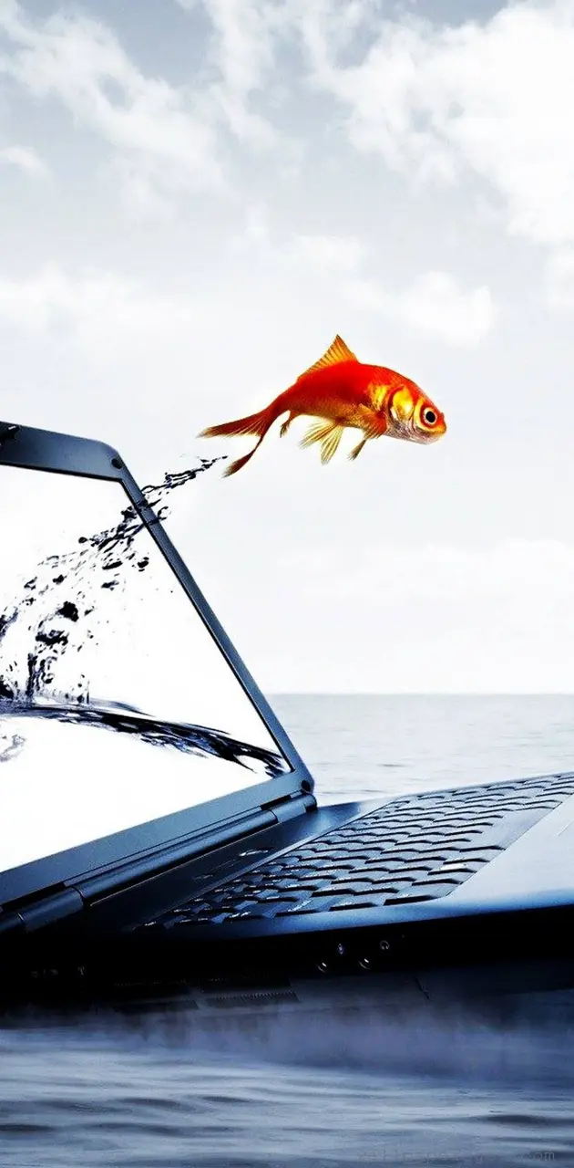 Laptop fish