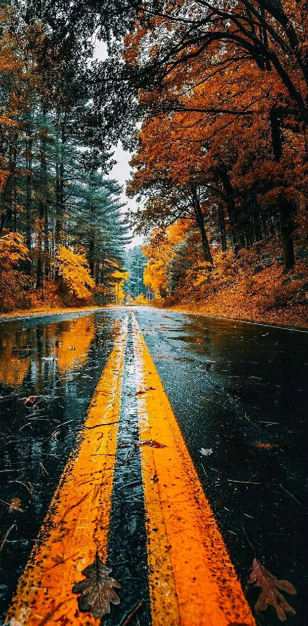 watery road 
