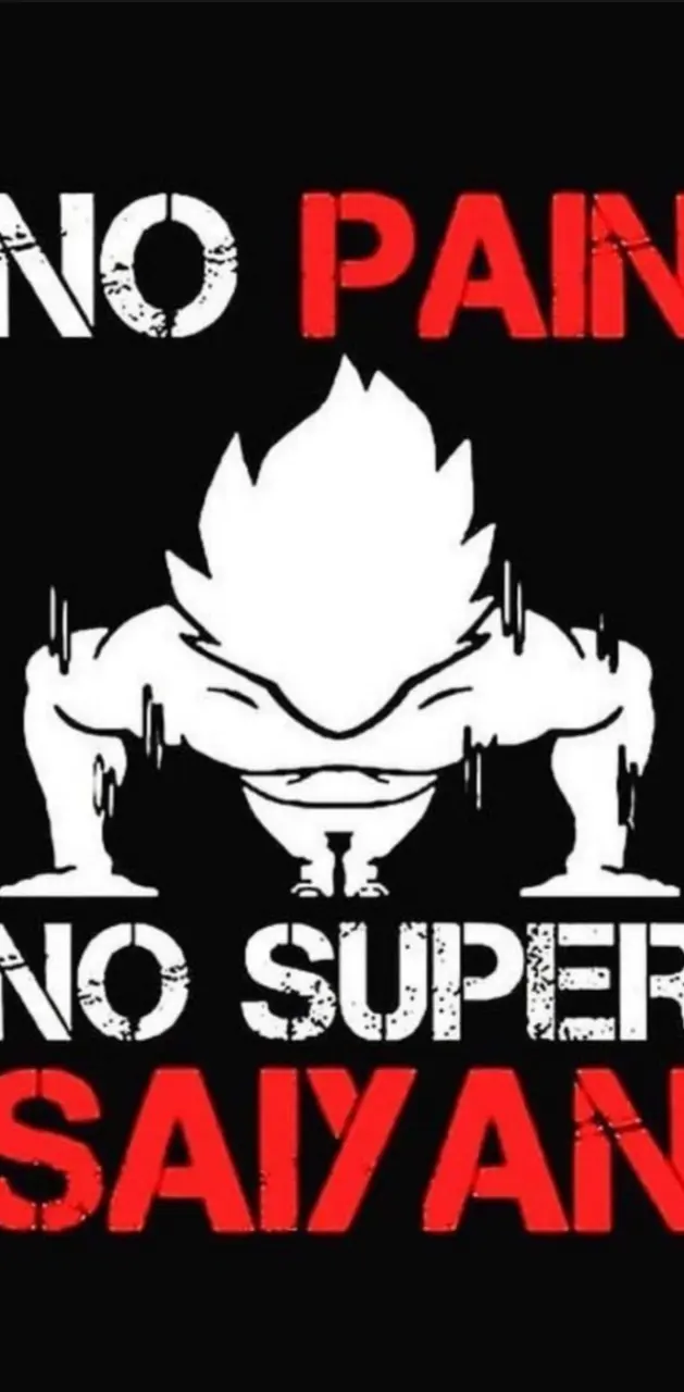 No Pain No SuperSaiyan