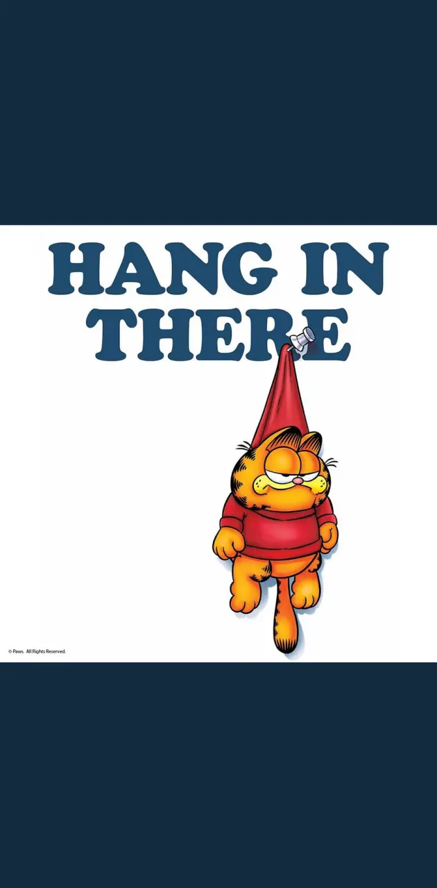 Garfield Hanging In There 