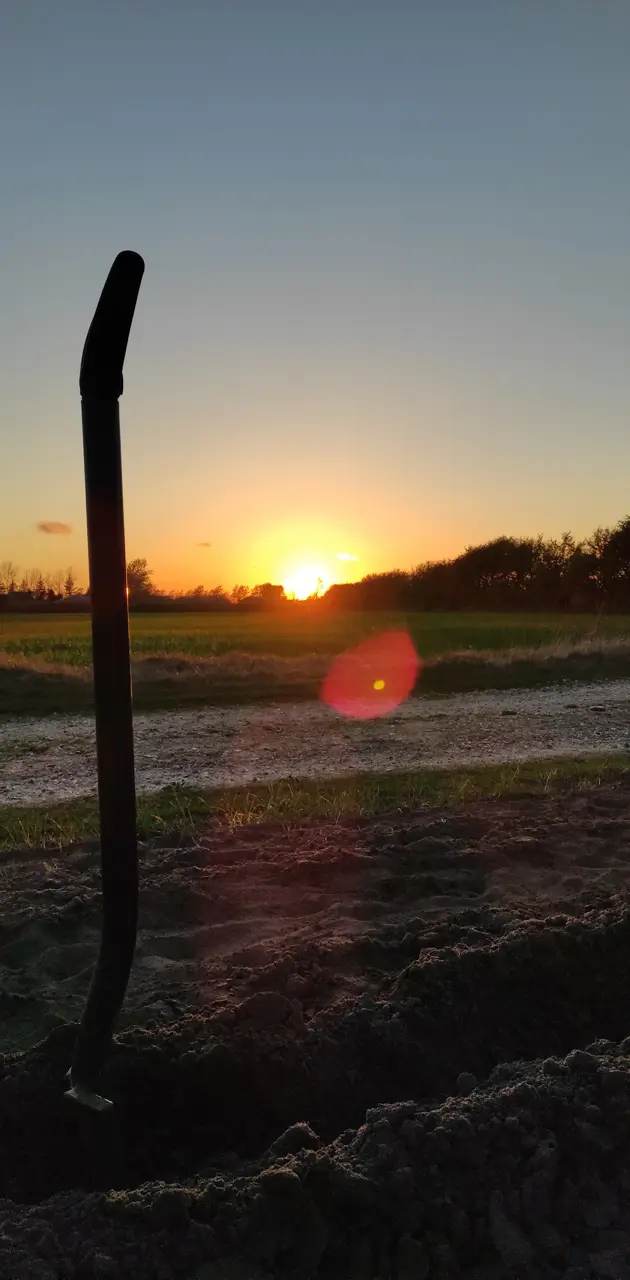 Shovel Sunset