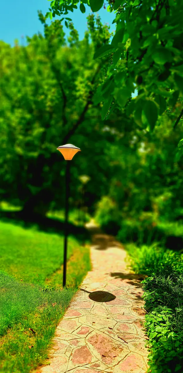 Golf ground lamp