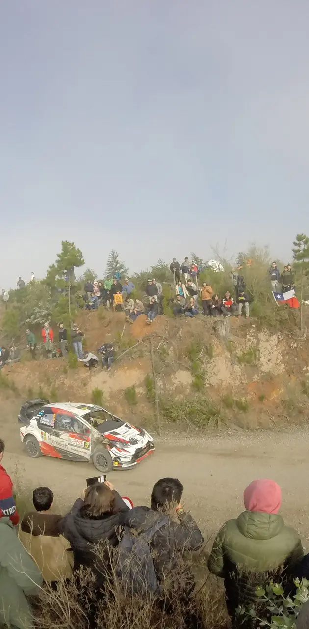 WRC in chile