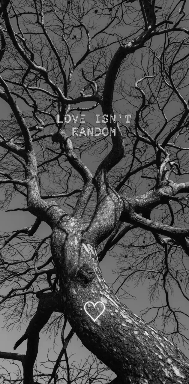 Love is not random 444