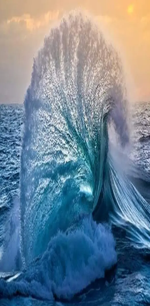 Amazing  Wave