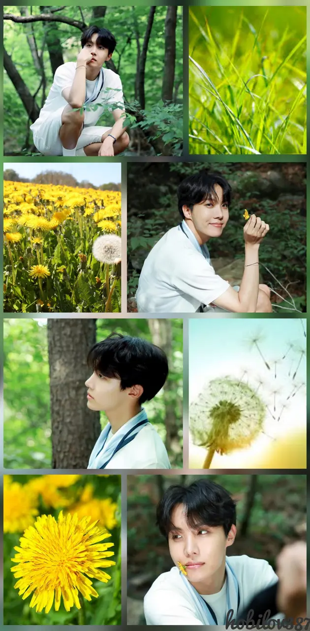 J-Hope BTS Flower