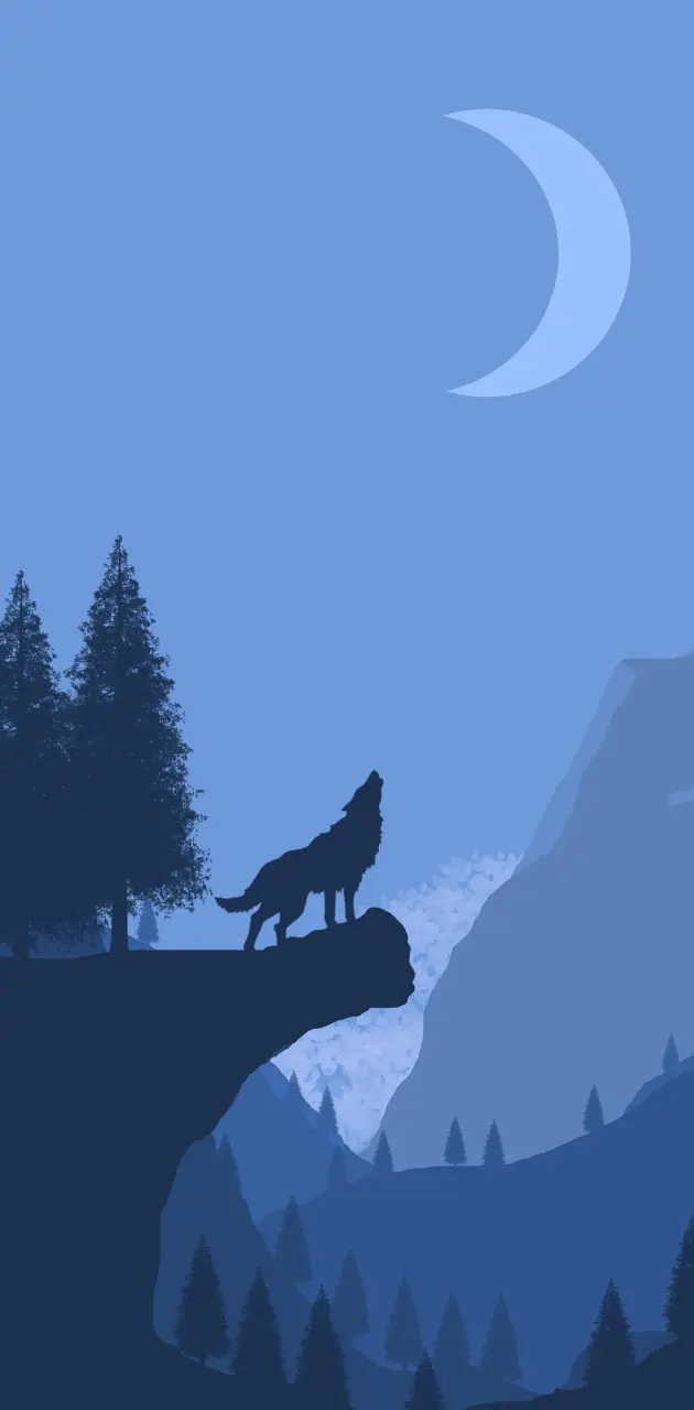 Wolf on the cliff