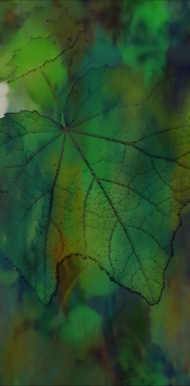 Clolurful leaves