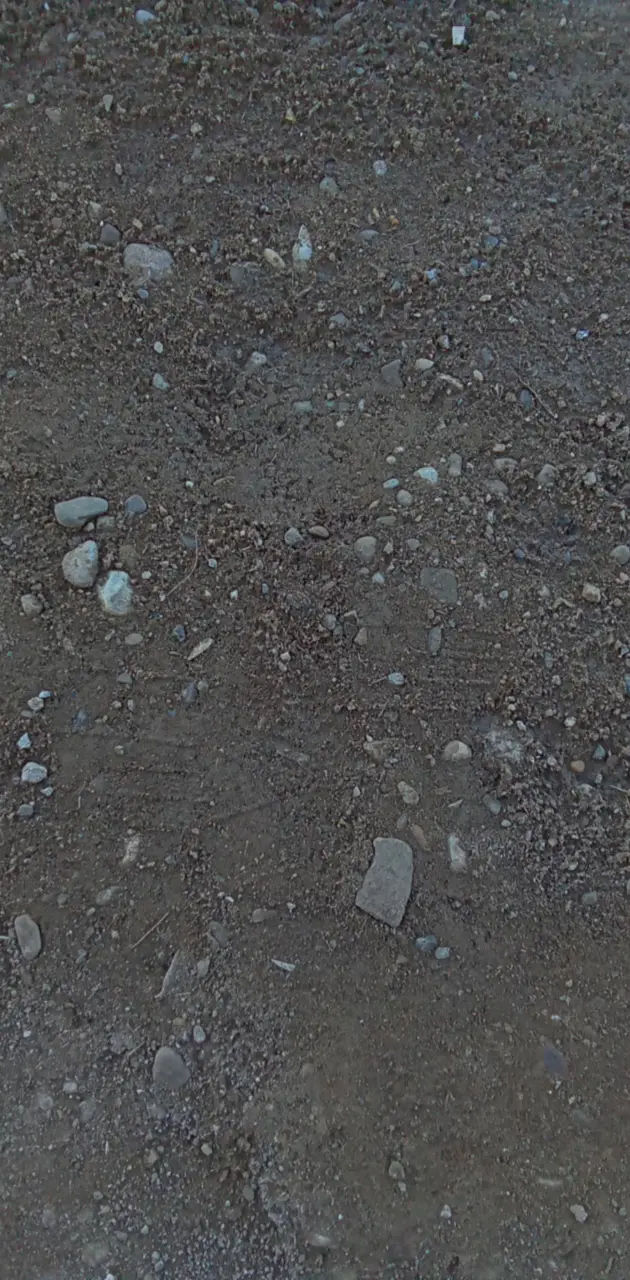 Dirt with rocks