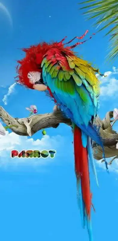 Abstract Parrot