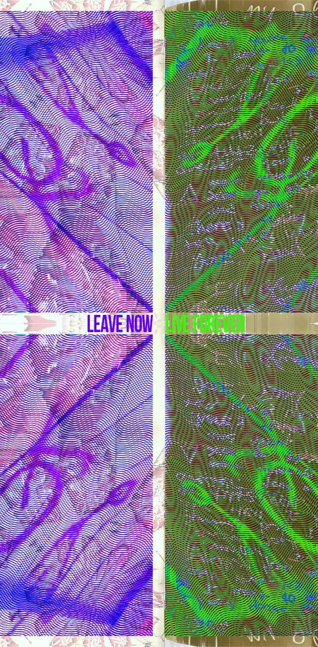 Leave Now, Live Foreve