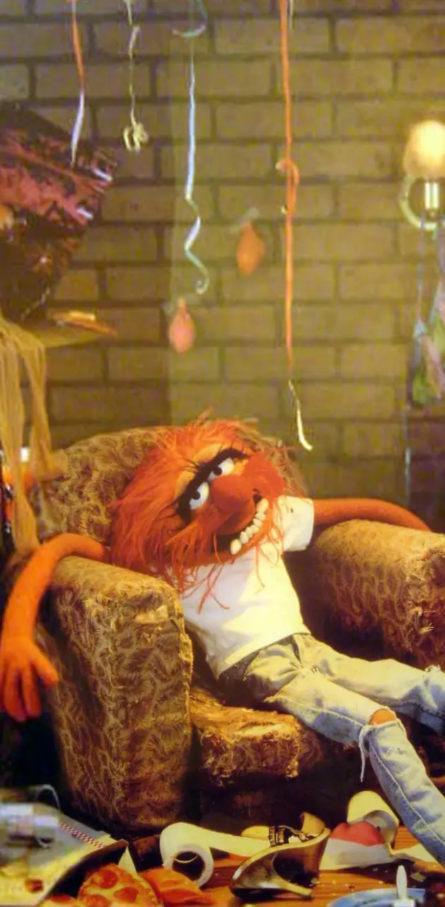 muppet relax