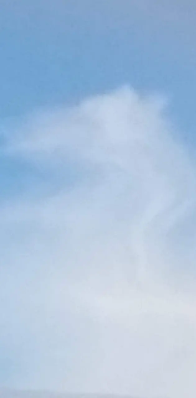 Dragon head cloud