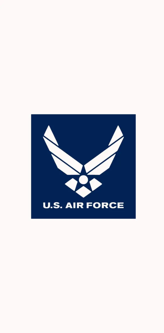 U.S. Air Force Wings