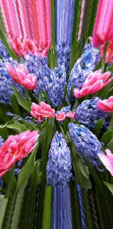 Blue And Pink Flower