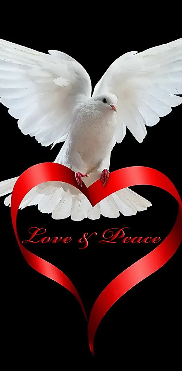 Love And Peace
