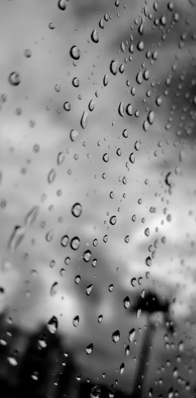 Rainy Day Ari photo