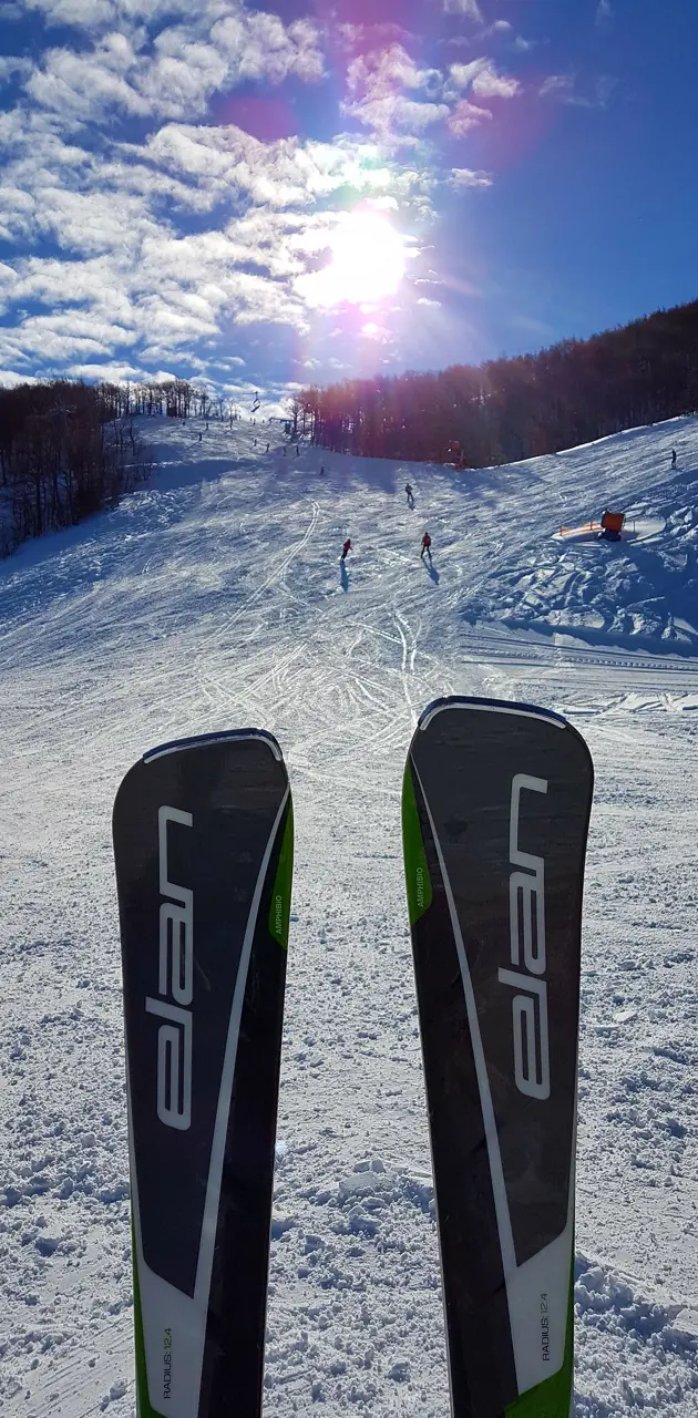 Elan skis