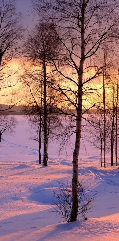 Winter Landscapes